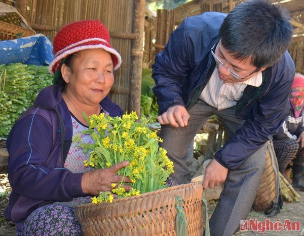 Nhiều năm trở lại đây, cải ngồng Kỳ Sơn được người miền xuôi xem là thứ đặc sản.