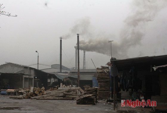 Công ty CP Naconex vô tư xả khói gây ô nhiễm môi trường (ảnh chụp vào ngày 4/2/2015)
