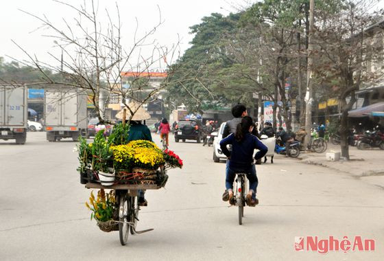 Người dân làng hoa Kim Chi chở hoa xuống phố