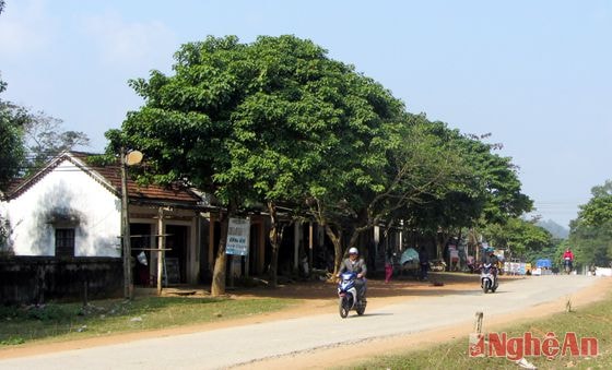 Hàng trăm hộ dân ở xã Cát Văn (Thanh Chương) chưa được cấp Giấy CNQSDĐ. 