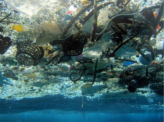 Càng ngày, rác plastic càng trở nên phổ biến  trên các đại dương. Ảnh: AP