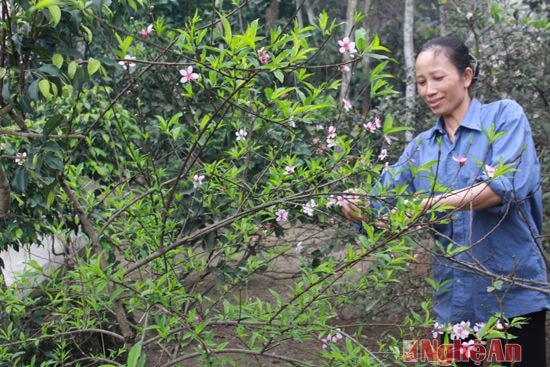 Chị Trần Thị Bích mẹ chiến sỹ Nguyễn Đình Cương xóm Thái Hòa - Nghi Thái - Nghi Lộc