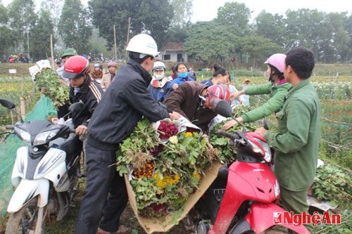 Sáng sớm còn mờ sương người từ các nơi đổ về mua hoa.