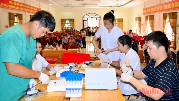 Cán bộ Trung tâm Huyết học - Truyền máu tỉnh Nghệ An  làm các thủ tục lưu trữ  sau khi tiếp nhận máu.