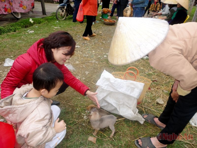 Những chú chó cúc cũng được đem bán 