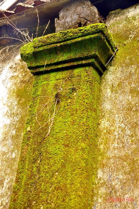 Rêu phong bên đình Trung Cần (Nam Trung, Nam Đàn).