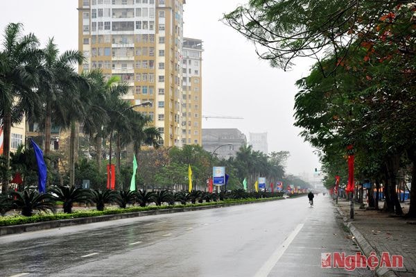 Đại lộ Quang Trung, đường huyết mạch của thành phố, như đang “tạm nghỉ’ ngày mùng Một Tết