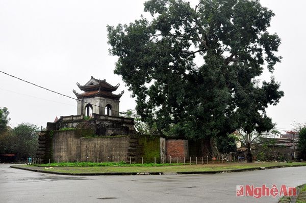 Cổng Cửa Nam thành cổ Vinh chìm vào ưu tư, trầm mặc