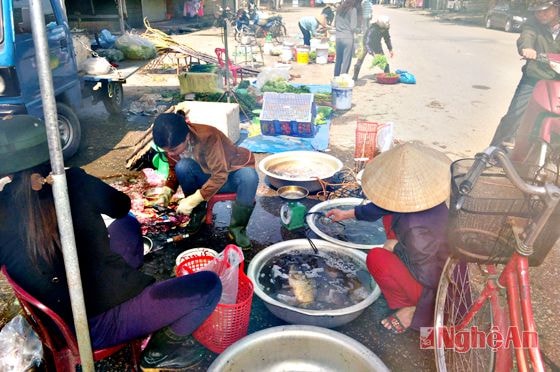 Giá các loại cá ở chợ Vinh vẫn giữ nguyên so với ngày thường