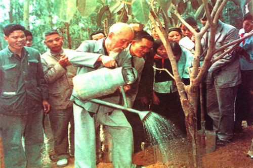 Chủ tịch Hồ Chí Minh là người đã đề xướng, tổ chức, xây dựng Tết trồng cây trở thành một phong trào quần chúng rộng rãi, sôi nổi và bền vững.