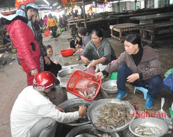 chợ hải sản ( cửa Lò) khá nhộn nhịp vào sáng 4 tết