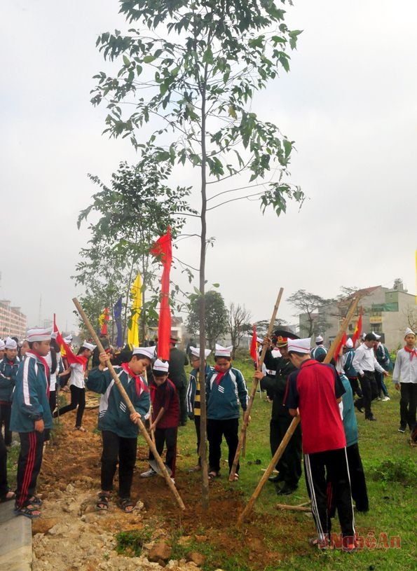 Học sinh tham gia trồng cây