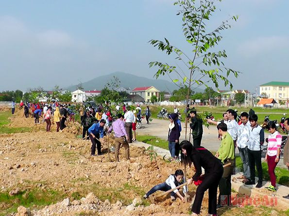 Các đại biểu, ĐVTN trồng cây tại Quảng trường Phan Đăng Lưu.