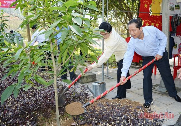 Trồng cây tại khu mộ bà Hoàng Thị Loan.