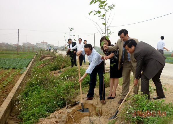 Các đồng chí lãnh đạo huyện Quỳnh Lưu tham gia trồng cây