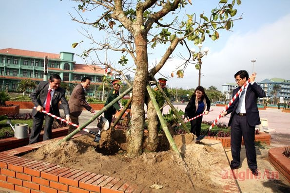 Lãnh đạo TX Cửa Lò tham gia trồng cây xanh tại quảng trường Bình Minh.