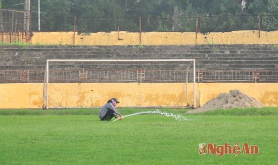 và chăm sóc mặt cỏ của sân Vinh