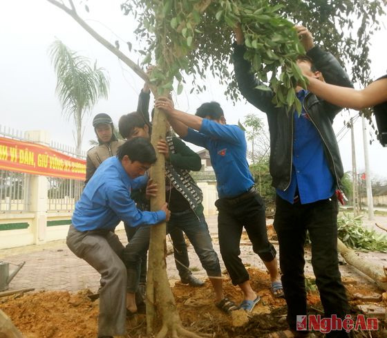 Đoàn viên thanh niên xã Tân Phú (Tân Kỳ) tham gia Tết trồng cây.  Ảnh: Văn hải