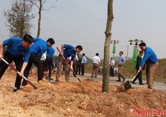 ĐVTN Tỉnh Đoàn trồng cây sao đen trong khuôn viên Khu Di tích lịch sử Truông Bồn