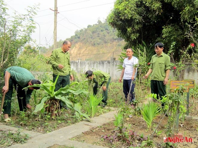 Cán bộ Trạm Quân - dân y Kỳ Sơn chăm sóc  vườn thuốc Nam.