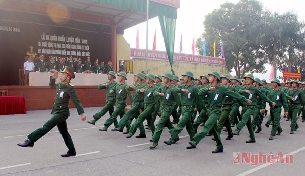 Phần duyệt đội ngũ của các cơ quan đơn vị