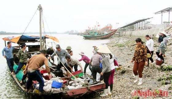 Tàu thuyền cập bến cá Diễn Ngọc.