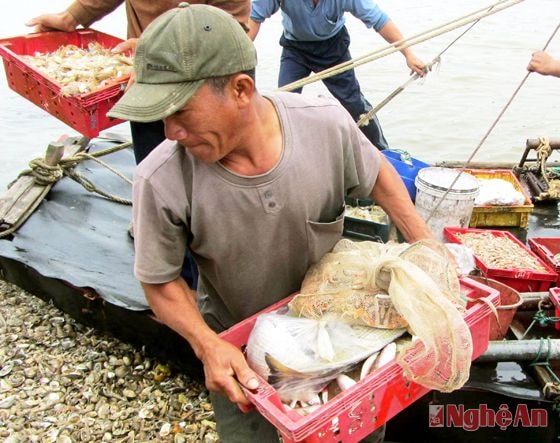 Quà của biển là đủ các loại cá, sò, tôm, cua được chuyển lên bến