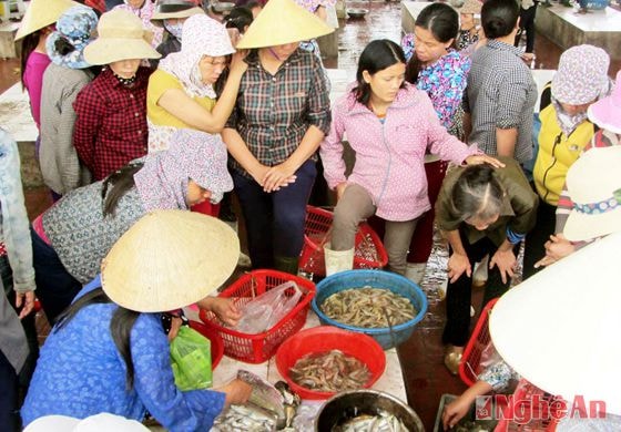 Bến cá Diễn Ngọc tấp nập người mua bán