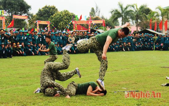 Các pha biểu diễn vũ thuật hấp dẫn tại lễ ra quân ở thành phố Vinh.