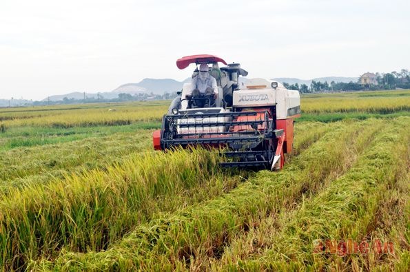 Nông dân xã Hưng Long (Hưng Nguyên) ứng dụng cơ giới vào sản xuất nông nghiệp Ảnh: Phú Hương