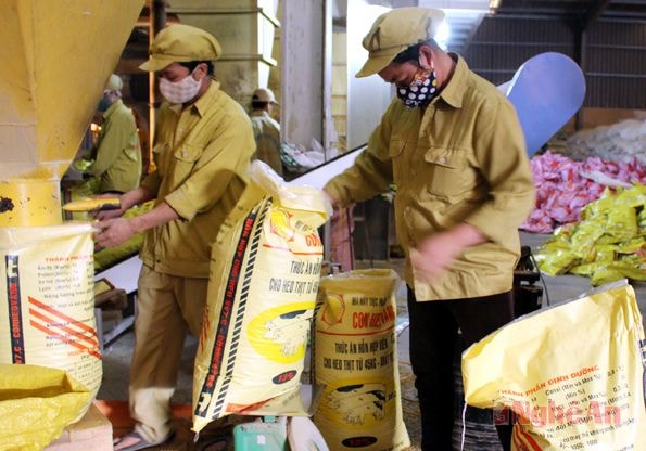  Sản xuất tại Nhà máy thức ăn gia súc Con Heo Vàng (Nghệ An).