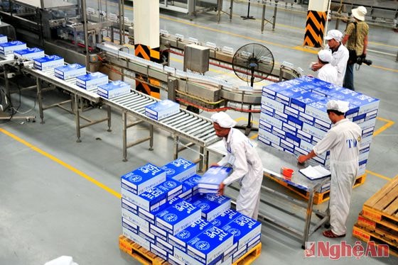 Dây chuyền sản xuất sữa TH.  Ảnh: sỹ minh