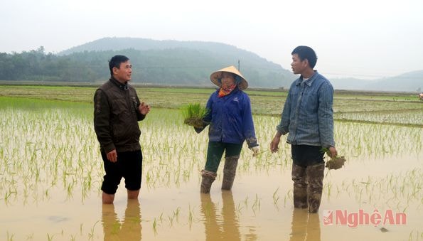 Cán bộ xã Lam Sơn (ngoài cùng, bên trái) chỉ đạo sản xuất  vụ đông xuân.