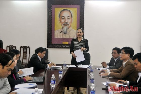 Đồng chí Đinh Thị Lệ Thanh - UVBTV, Phó Chủ tịch UBND tỉnh kết luận buổi làm việc