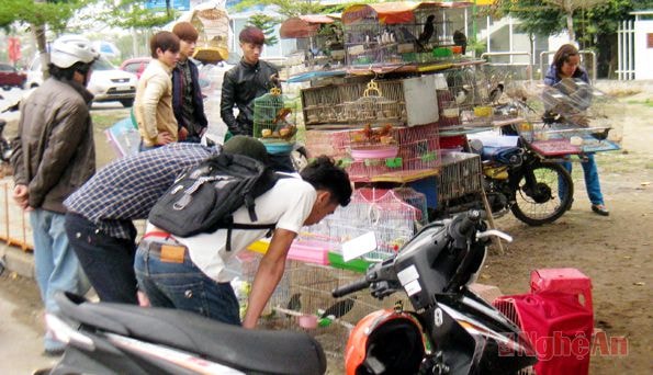 Rất đông người dân tìm mua chim phóng sinh trên các xe hàng rong  ở đường Lênin (TP. Vinh).