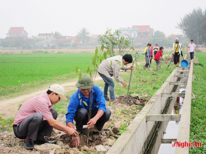 Đoàn viên, thanh niên xã Quỳnh Đôi  trồng cây xanh dọc đường giao thông nội đồng.