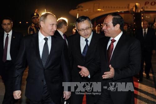 Tổng thống Ai Cập Abdel Fattah al-Sisi (ngoài cùng bên phải) đón Tổng thống Nga Vladimir Putin (trái) tại sân bay quốc tế Cairo hôm 9/2. Ảnh: AFP/TTXVN