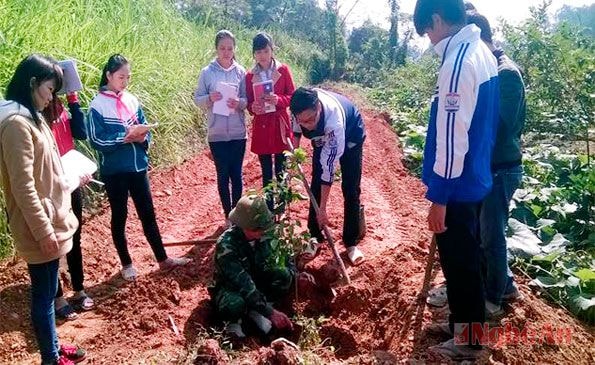 Học sinh Trường THCS Tân An (Tân Kỳ) trong tiết ngoại khóa.