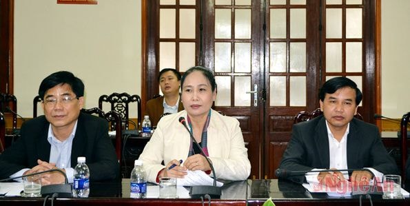 Đồng chí Đinh Thị Lệ Thanh phát biểu tại buổi làm việc