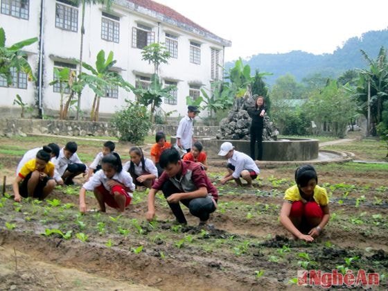 Học sinh Trường THCS Hội - Nga (Quỳ Châu) chăm sóc vườn rau.