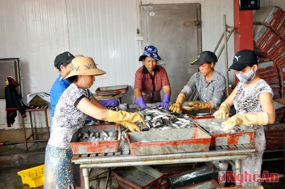 Mở rộng và phát triển kho đông lạnh - mô hình xóa nghèo bền vững ở phường Nghi Tân, thị xã Cửa Lò