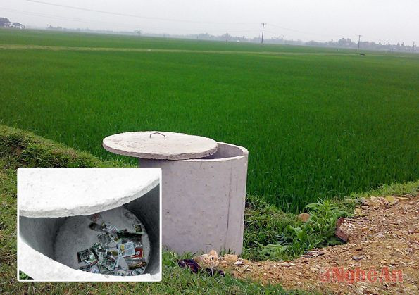 Đặt bể xi măng thu gom  bao bì thuốc  BVTV ngoài đồng ruộng ở Hưng Nguyên.