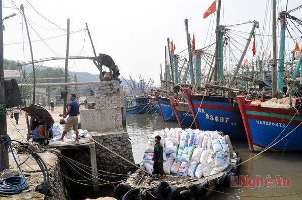 Tàu thuyền vào bến cá Quỳnh Lập bốc hàng. 