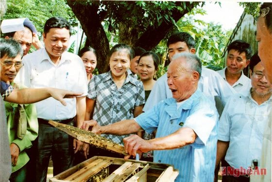 Thăm quan mô hình nuôi ong ở xóm Phú Tân - Tây Hiếu. Ảnh: S.m