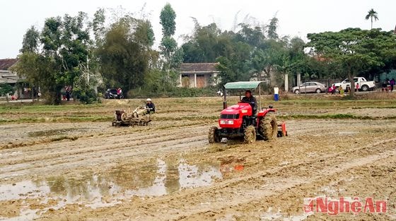 Nông dân Thanh Chương đưa cơ giới vào sản xuất sau dồn điền, đổi thửa.