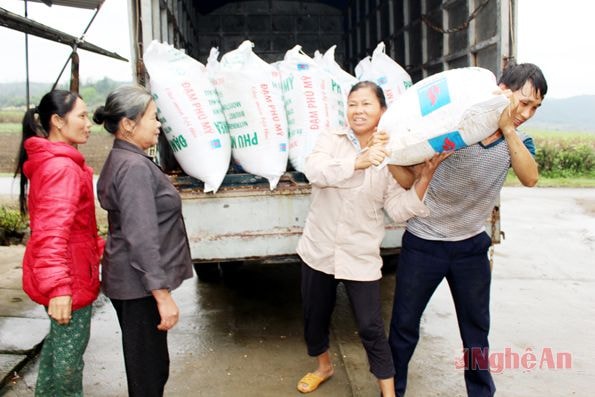 Cung ứng dịch vụ phân bón cho nông dân tại xã Giai Xuân.
