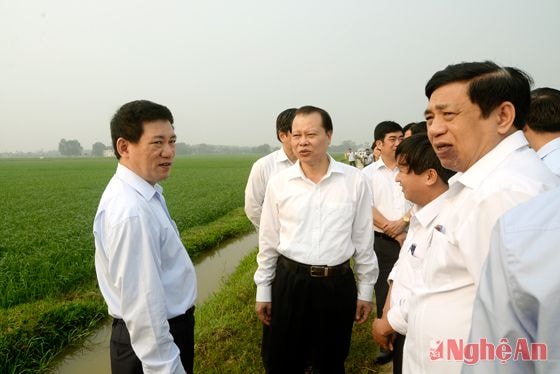 Thăm cánh đồng mẫu lớn