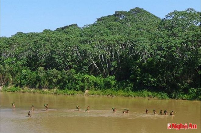 Một phần khu vực rừng Amazon ở Peru,  giáp biên giới với Brazil. Ảnh: AFP