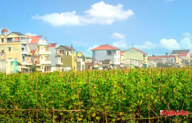 Một góc nông thôn mới ở Nghĩa Thuận.  Ảnh: Sỹ Minh