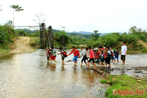 Học sinh bản Quàng (xã Châu Phong - Quỳ Châu) phải lội suối đến trường.